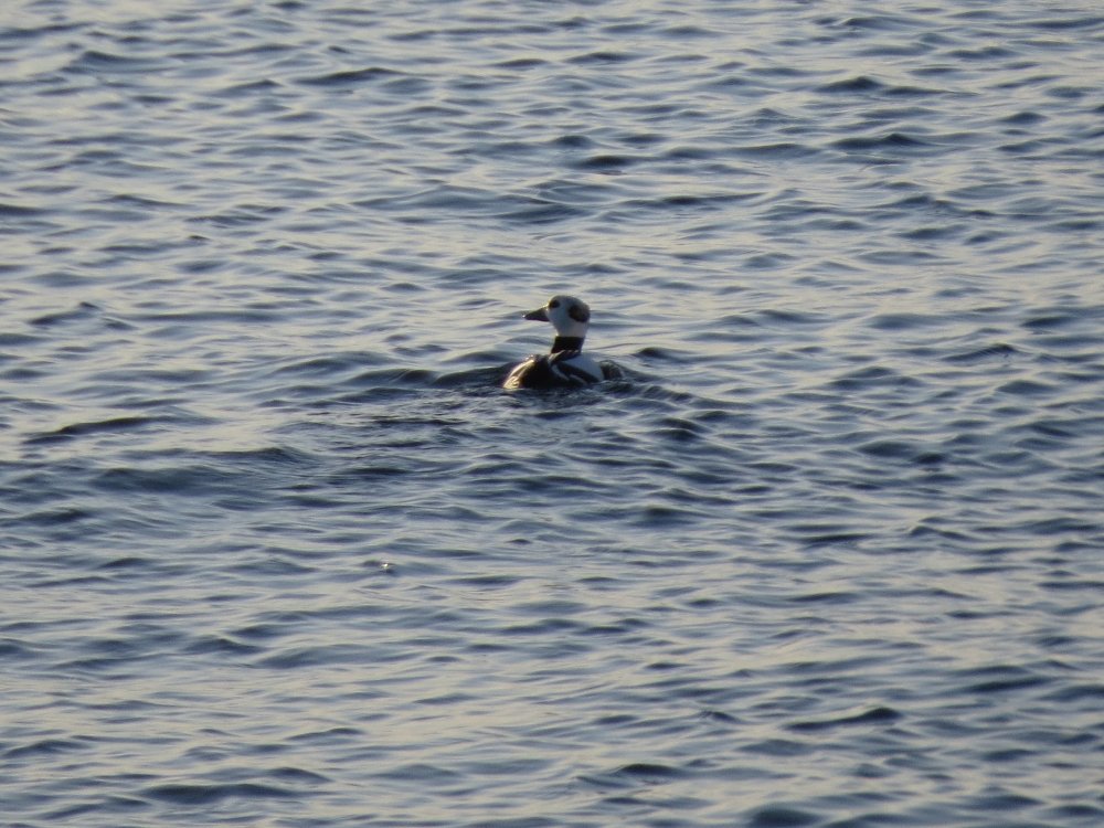 21 Апреля Плато.18г. 026.jpg