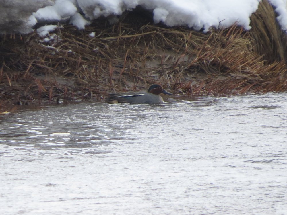 22 апреля 18г. 038.jpg