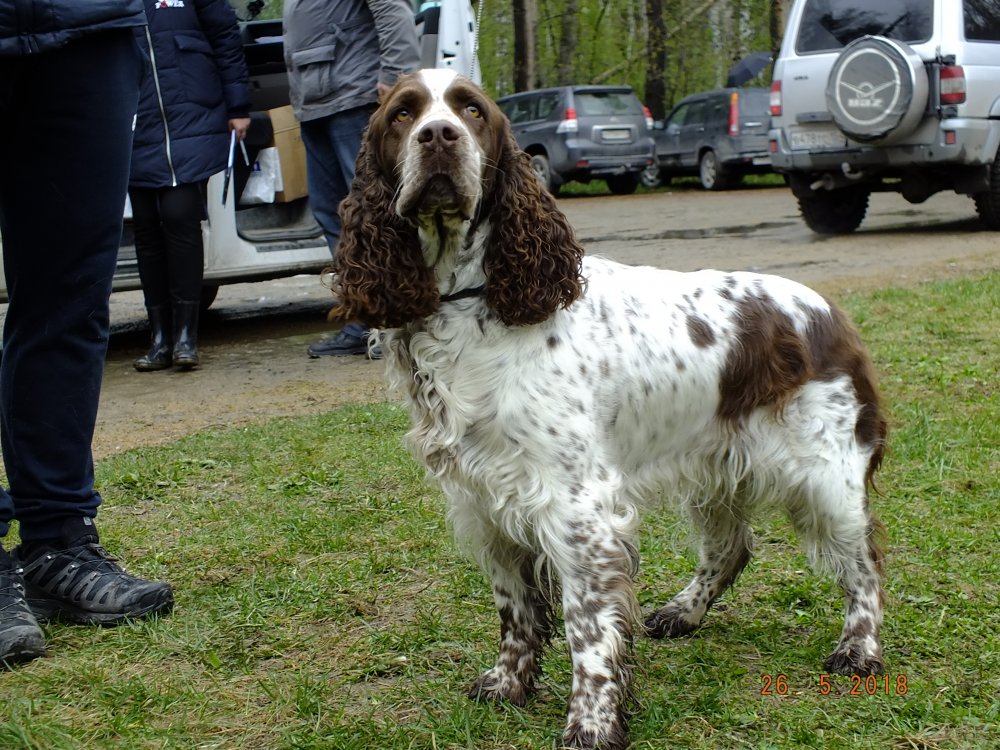 DSCF1283.JPG
