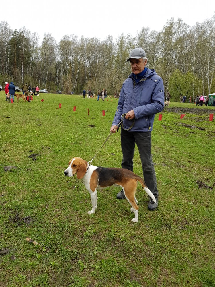 20180526_114133.jpg