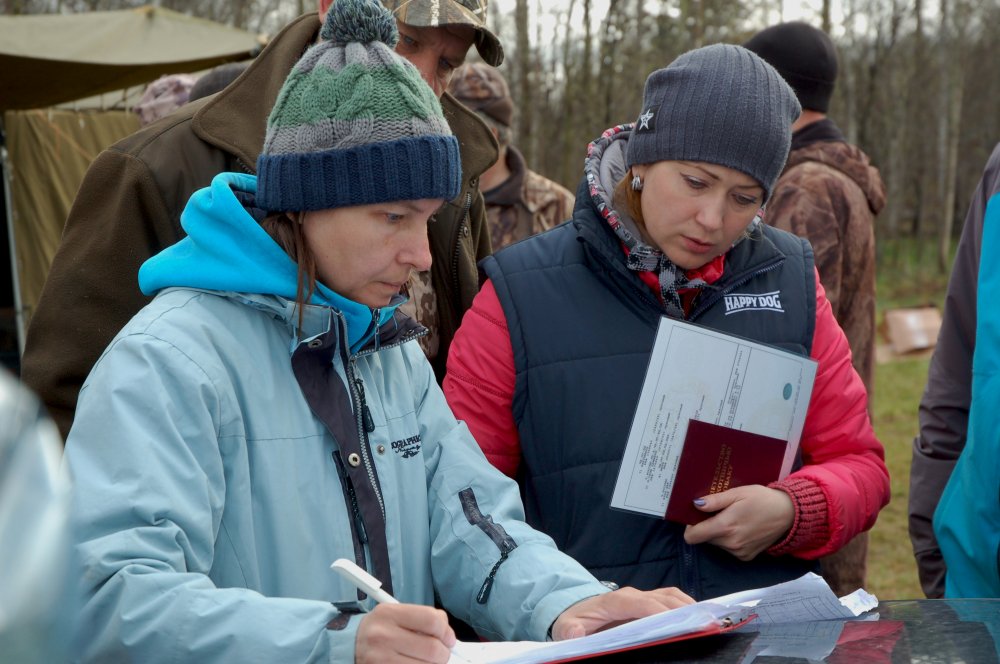 света  маша.jpg