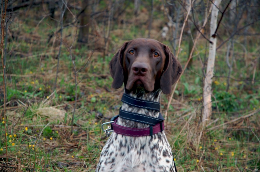 курц почти портрет.jpg