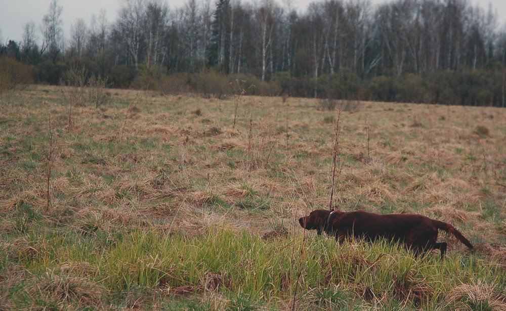 круз работает.jpg