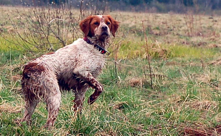 летка почти портрет.jpg