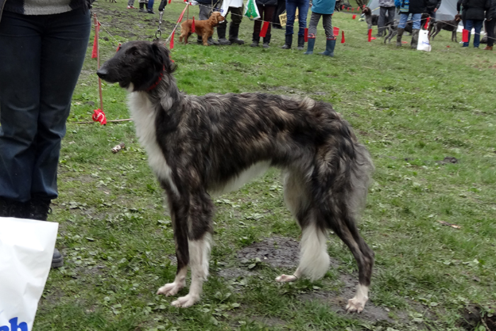 полночь 04054.JPG