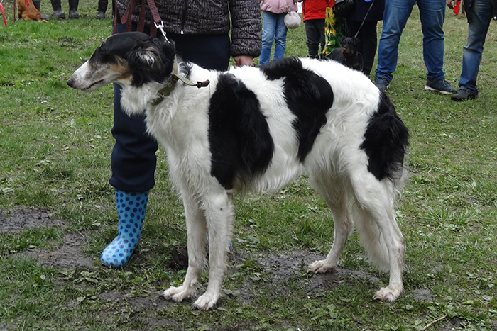 Тайна из Д.К.04060.JPG