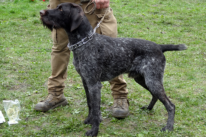 ривард м04118.JPG