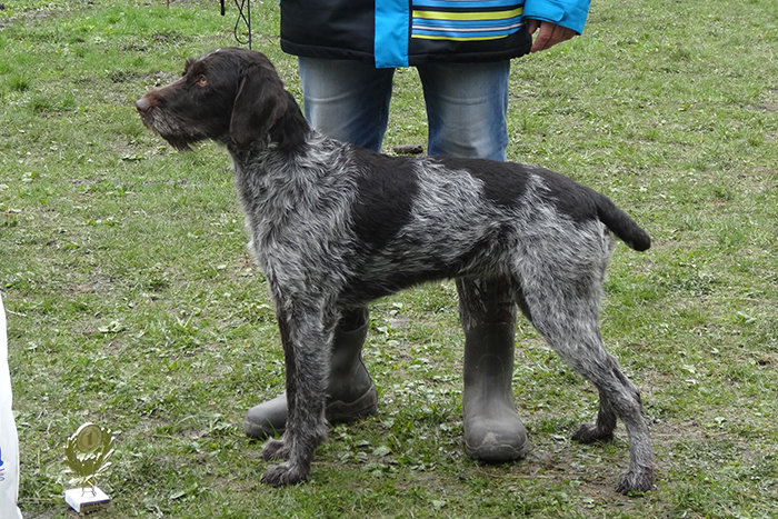 донга C04198.JPG