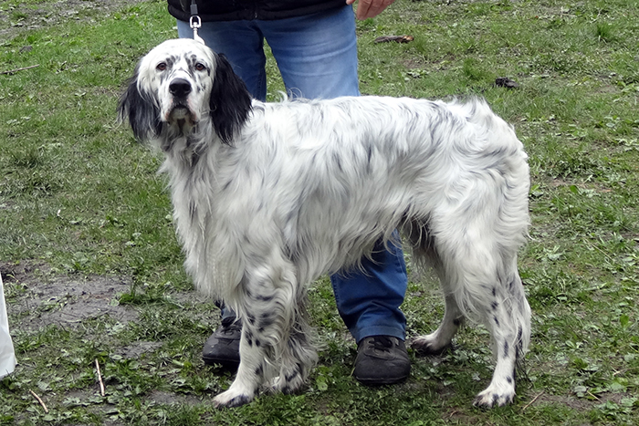 рэй ошкуковC04117 (1).JPG