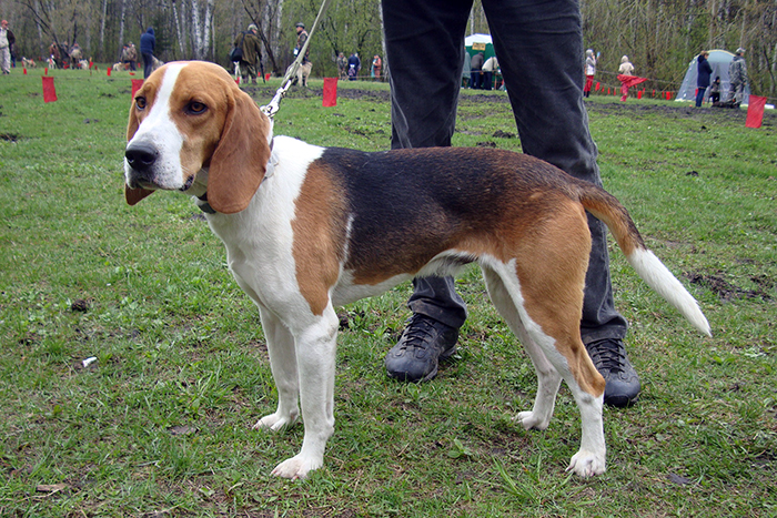 Г-Ричард ОстриковаПВ.JPG