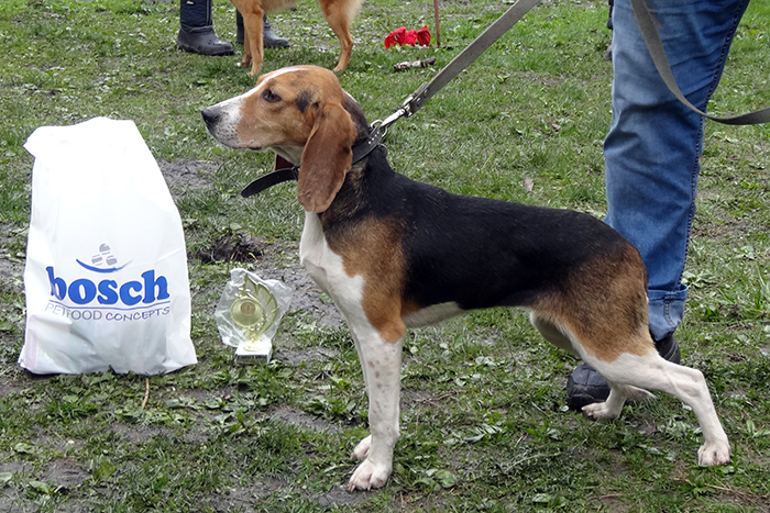 гайда Полоник04089.JPG