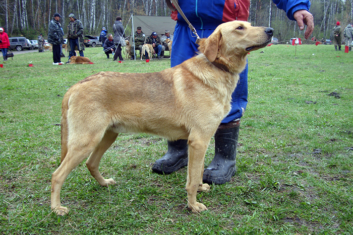 Верный МасловВА.JPG