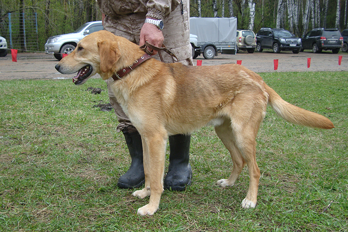 Задор НазаровСБ.JPG