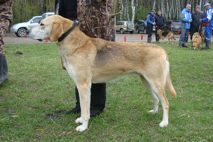 Кук ПрокопьевВВ.JPG