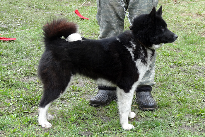taja_neajskin_04080.jpg
