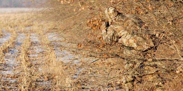 img-camo-chisiamo_slide.jpg