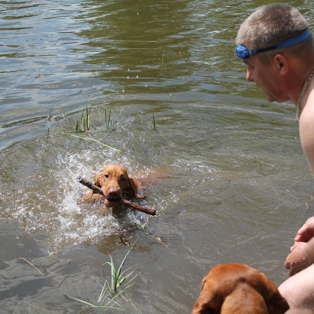 Франт первая подача с воды.jpeg