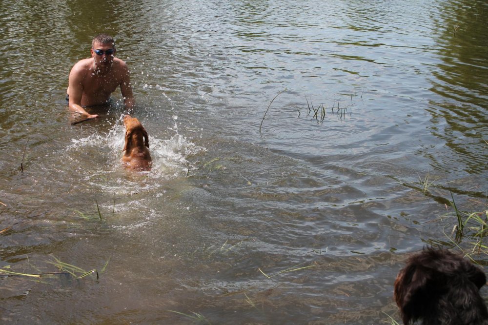 Франт учится плавать2.jpeg