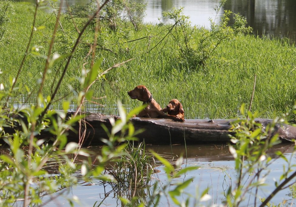 франт с мамой Боргиль.jpeg