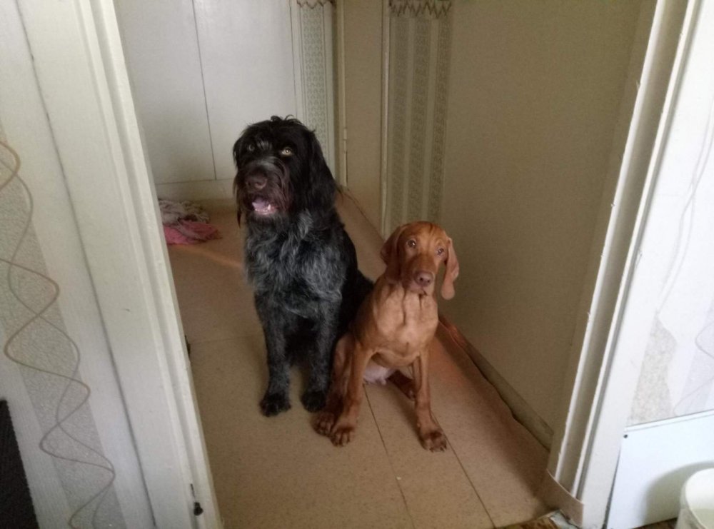 Франт и его подруга Айна.jpeg