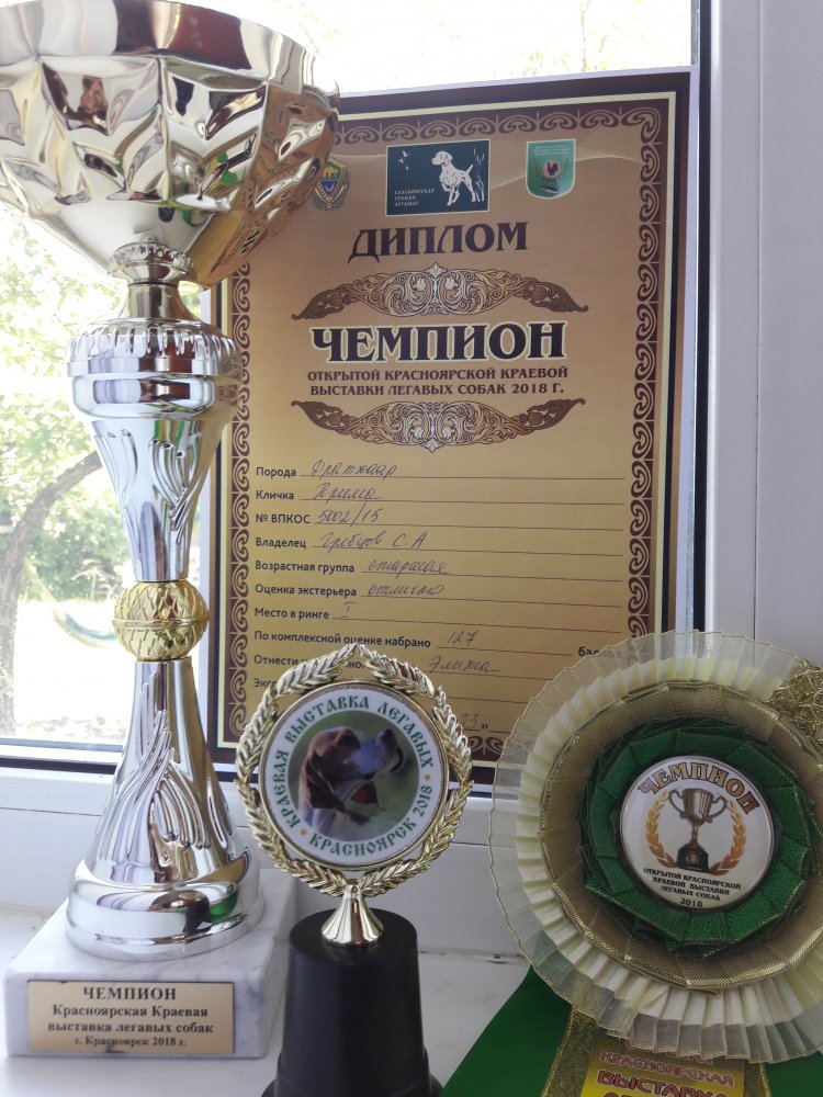 Чемпион 20180624_144844.jpg