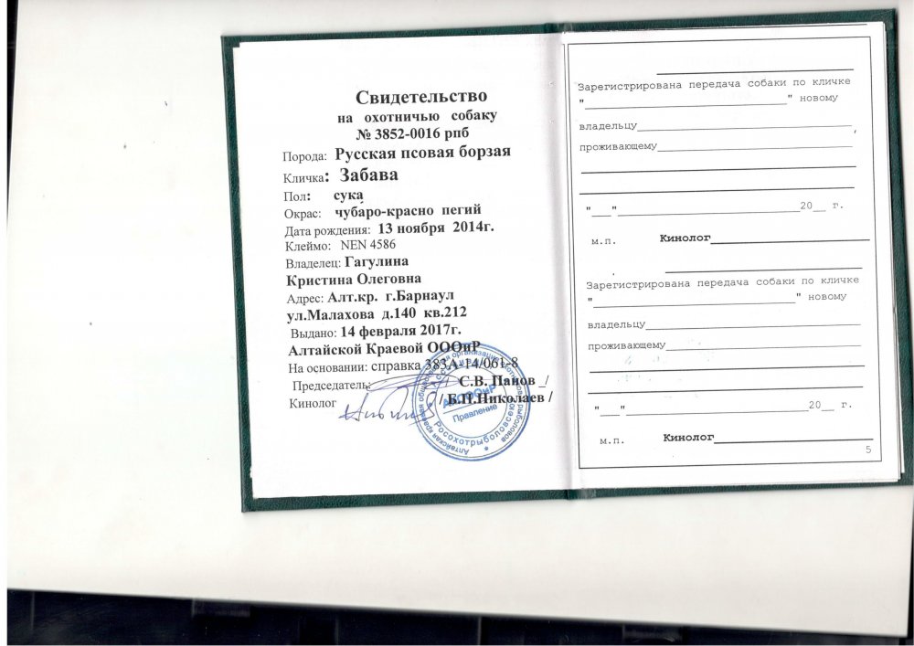 Собаки ЦПО_10.jpg