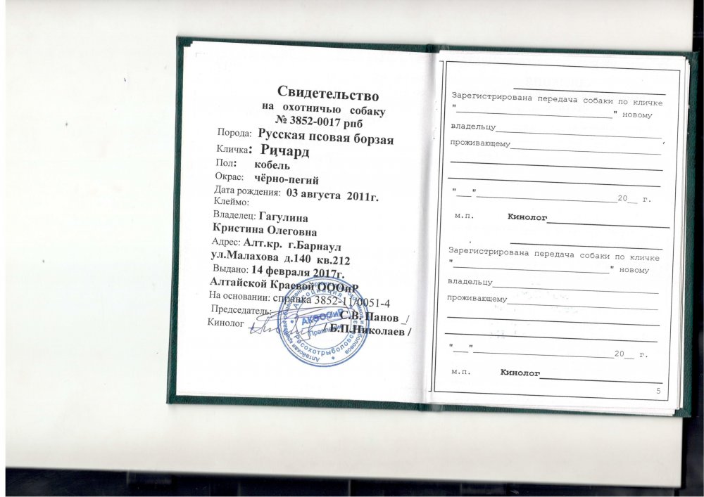 Собаки ЦПО_15.jpg