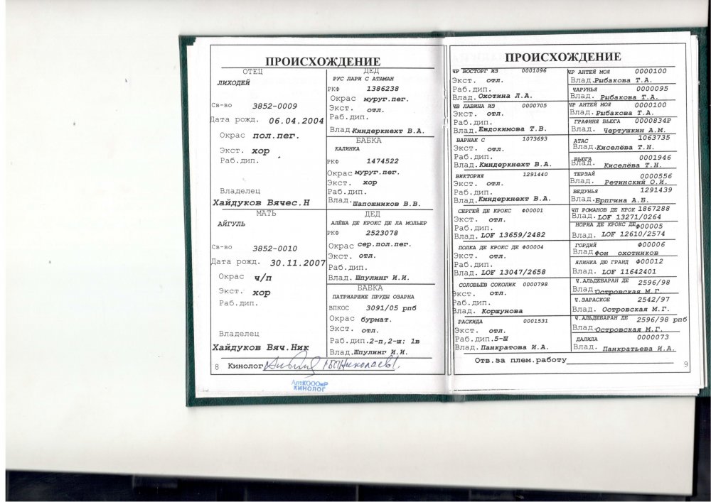 Собаки ЦПО_16.jpg