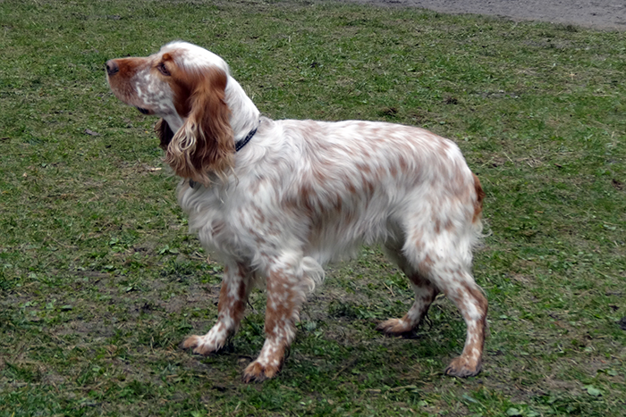 никсон C04233.JPG