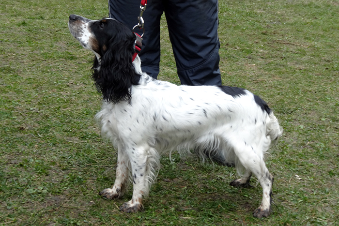 полянка DSC04229.JPG