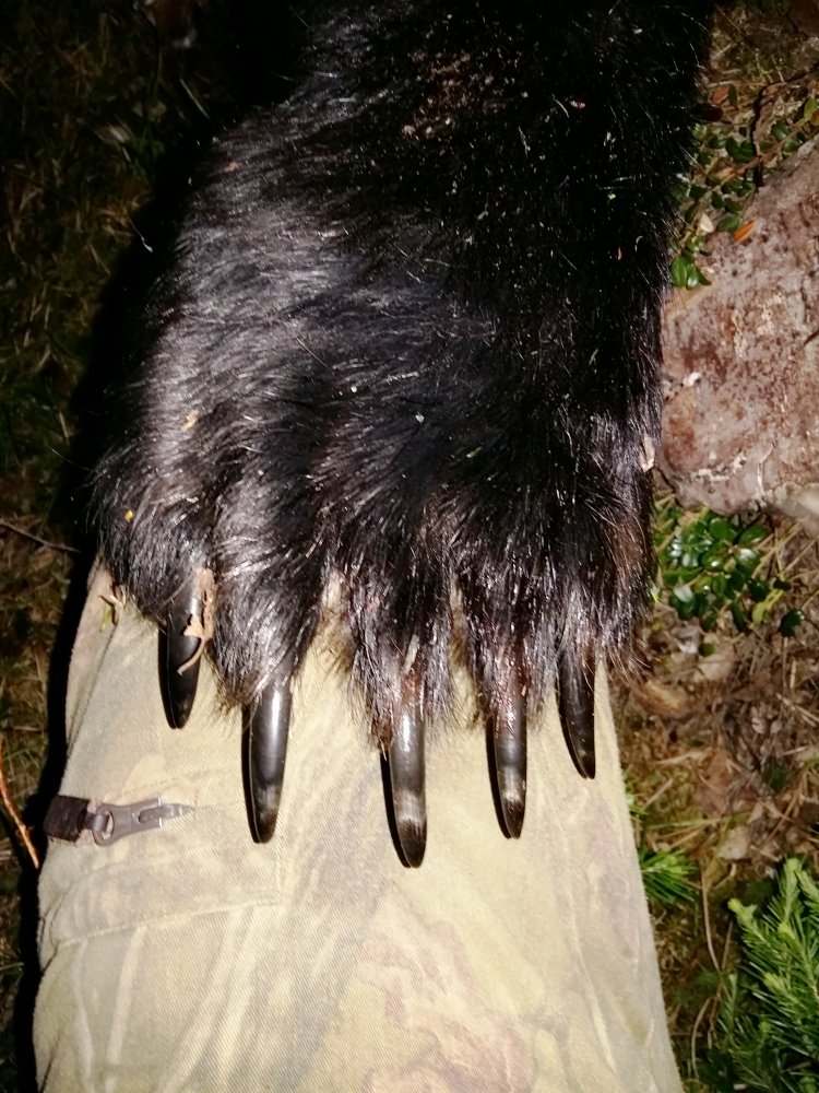 20160604_232208.jpg