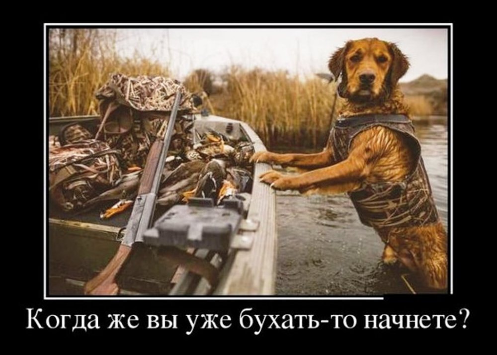 BmCJeukw9EQ.jpg