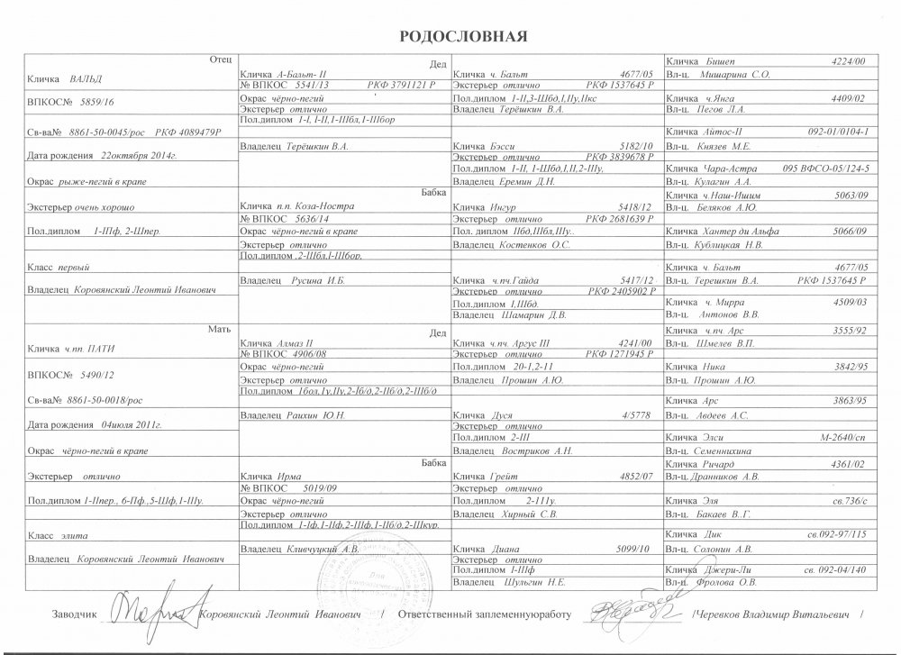 Рисунок (12).jpg