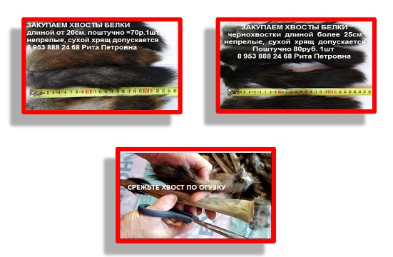 2 МЕТОДИЧКА.jpg