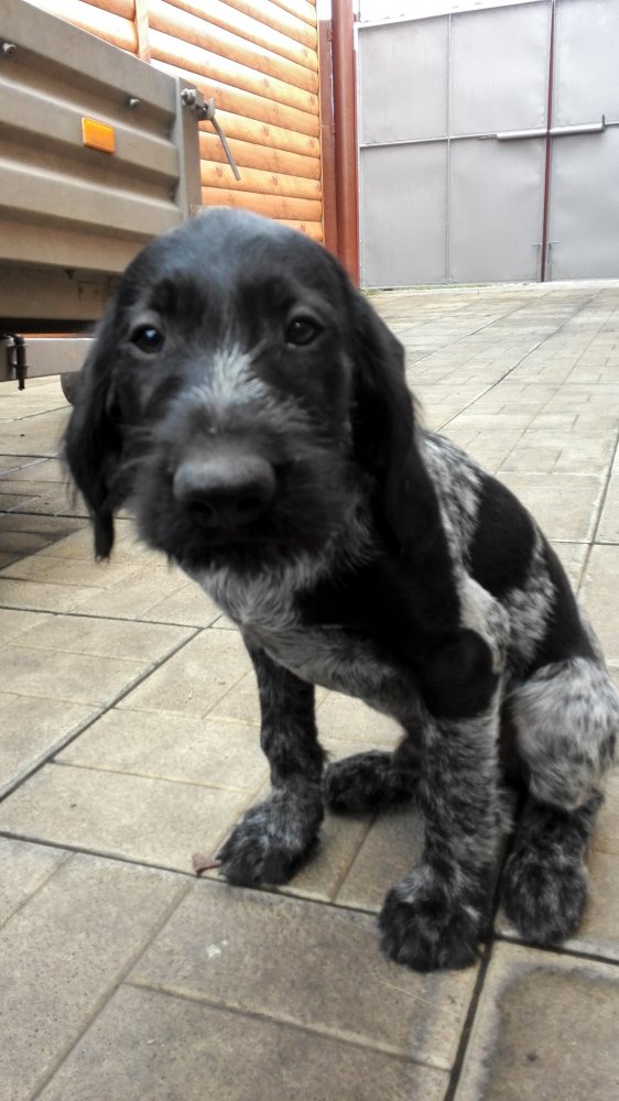 Постигаем науку послушения.jpg