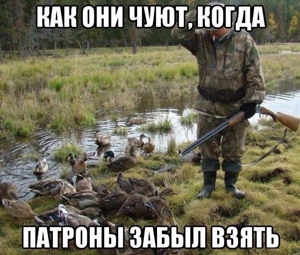 патроны забыл.jpg