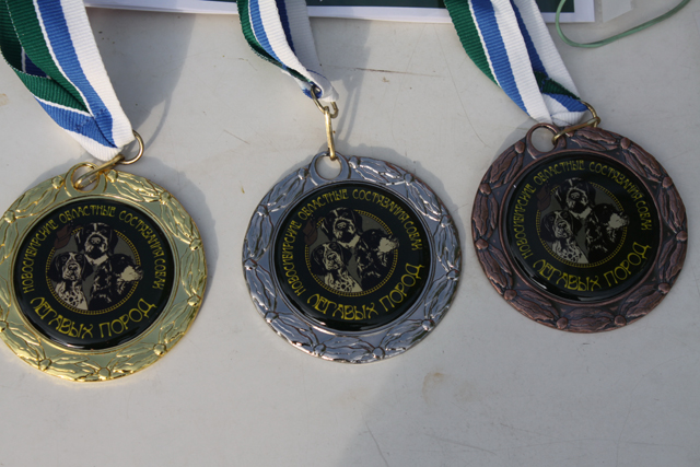 состязания, ипытания 13-14.07.18 (Новосибирск) 109.jpg