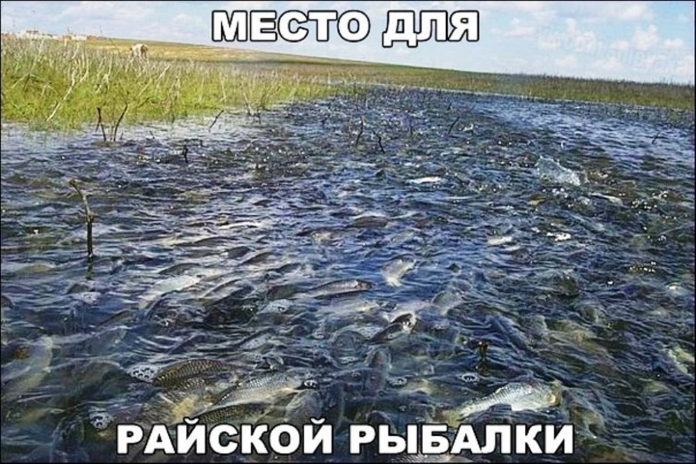 mesto-dlya-rajskoj-rybalki-open.jpg