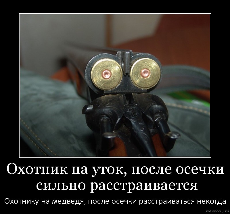 81ce8d932d.jpg