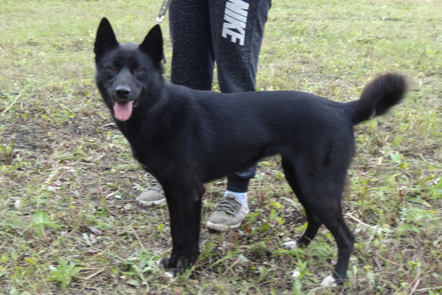 чезара 5005.JPG