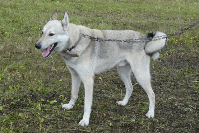 аян аргоков065.JPG