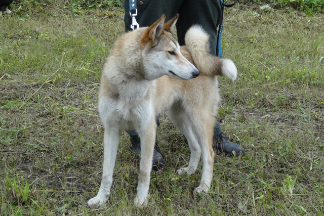 а-белка захаров038.JPG