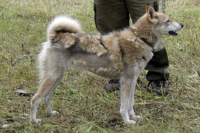 качи Мажин059.JPG
