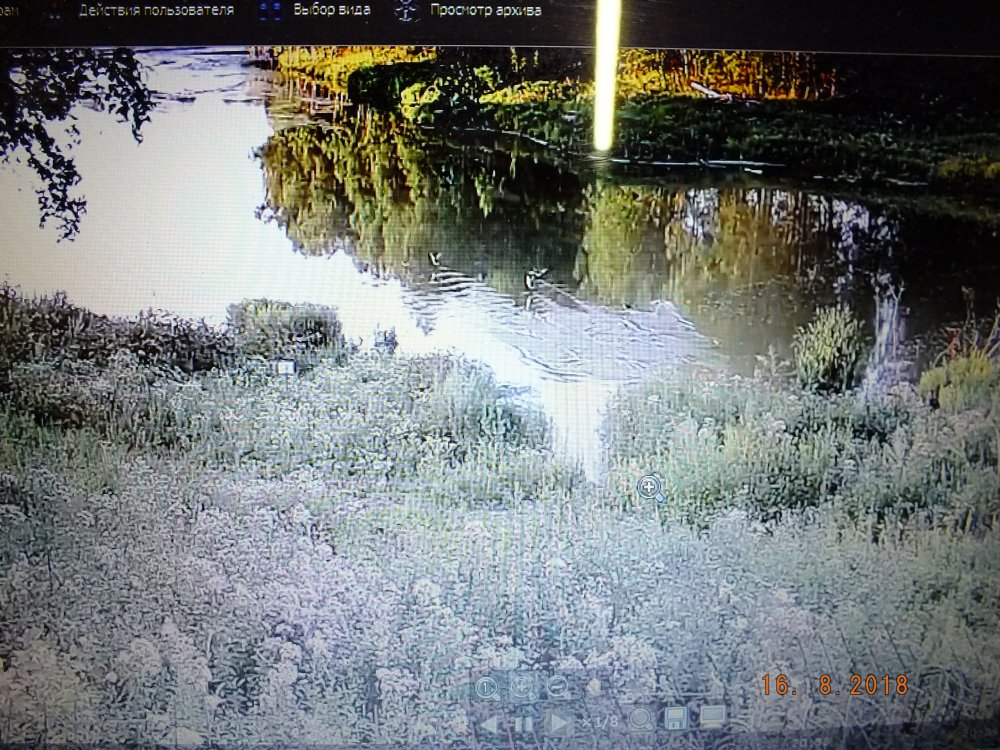 DSCF1433.JPG