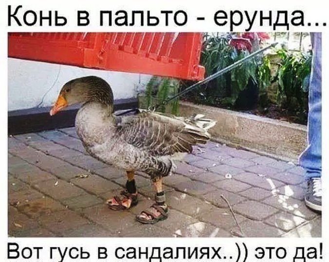 6557-Kto-kto-Ne-vidish-chto-li.jpg
