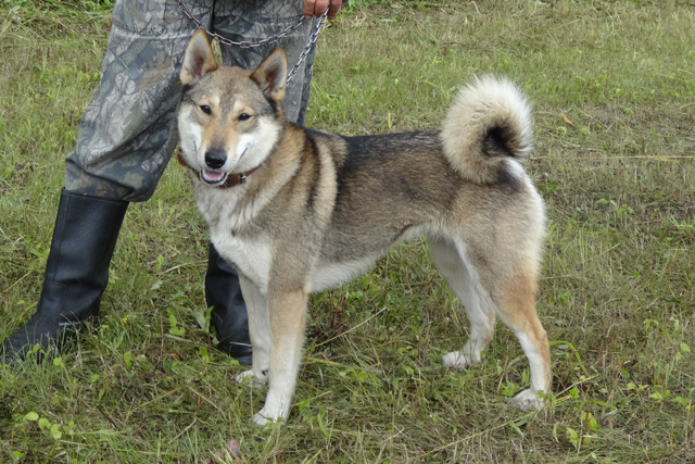 Пурга Поморцев068.JPG