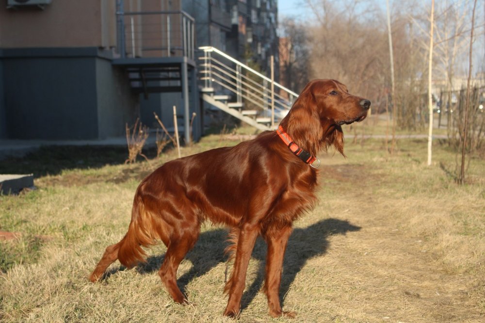 WhatsApp Image 2018-07-04 at 11.11.14.jpeg