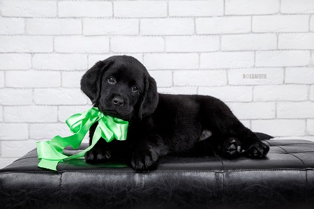 SOLGAFOTO-62 сайт.jpg