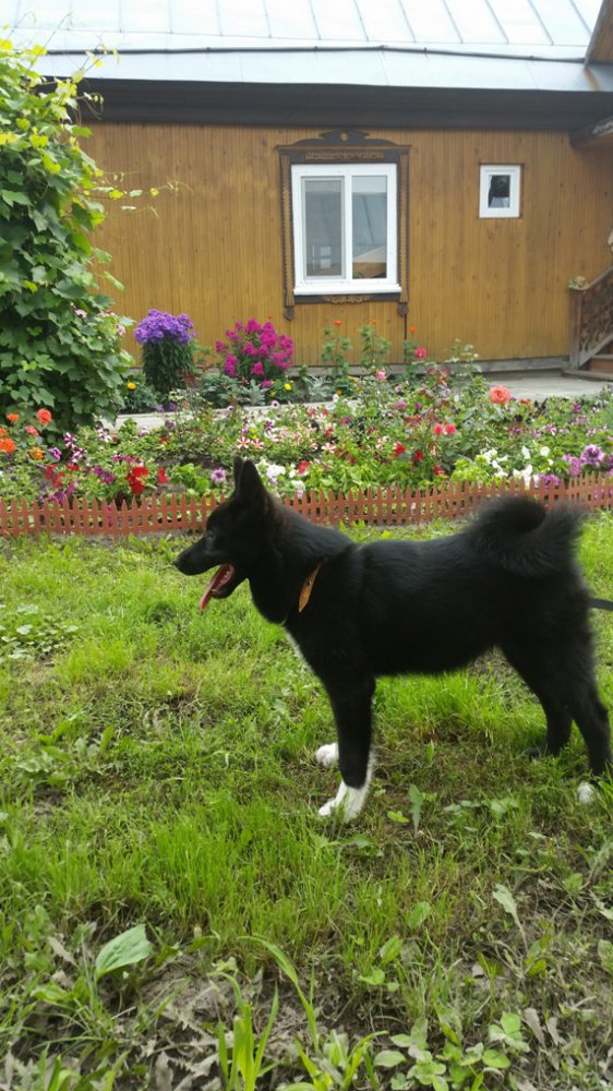 фото ШТОРМа - В.Неяскин Тальменка.jpg