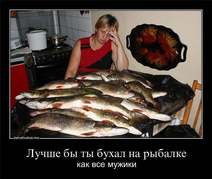 1eda365fb13a.jpg